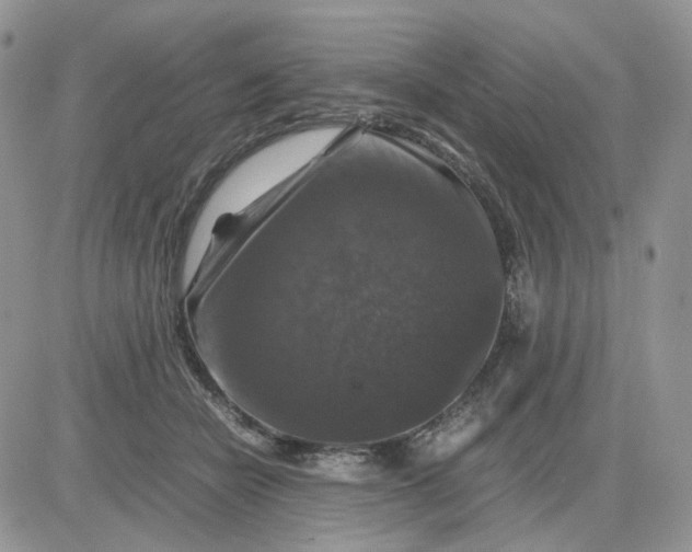 X0000081470462200701262007