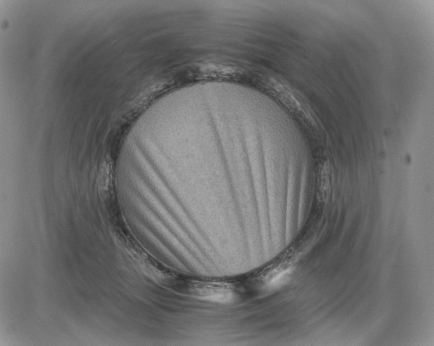 X0000081470463200701262007