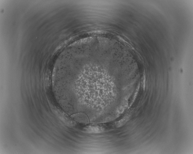 X0000081470464200701262007