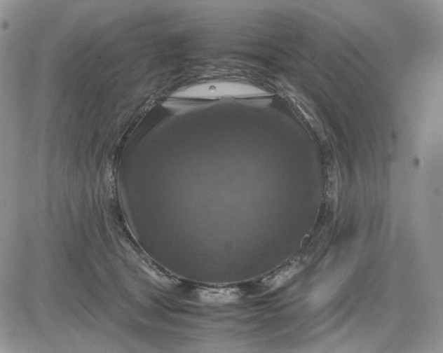 X0000081470465200701262007