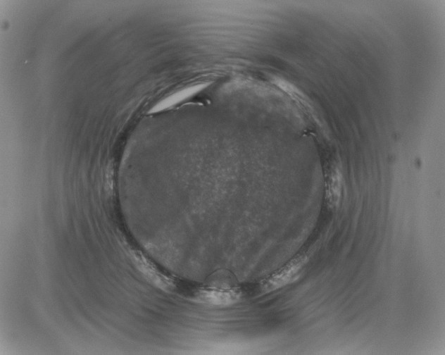 X0000081470466200701262007