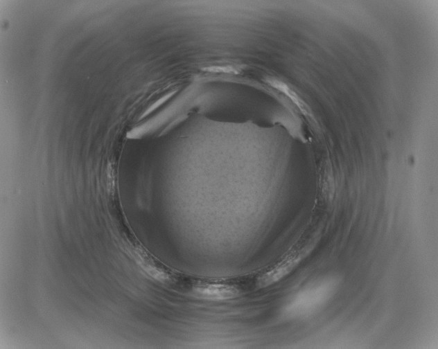 X0000081470467200701262007