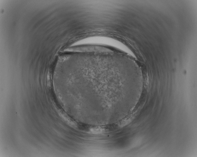 X0000081470470200701262007