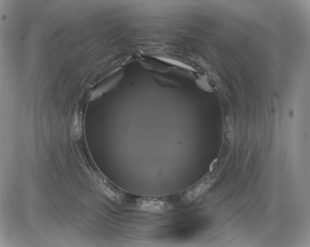 X0000081470471200701262007