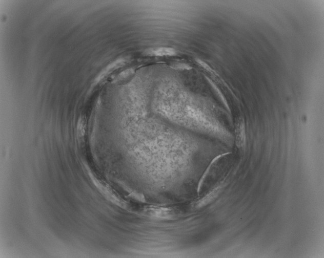 X0000081470472200701262007