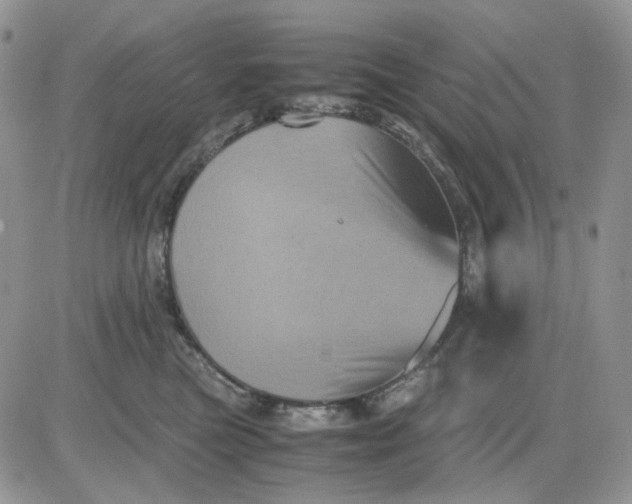 X0000081470473200701262007