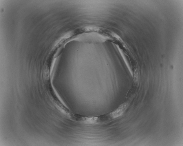 X0000081470474200701262007