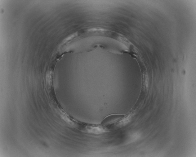 X0000081470475200701262007