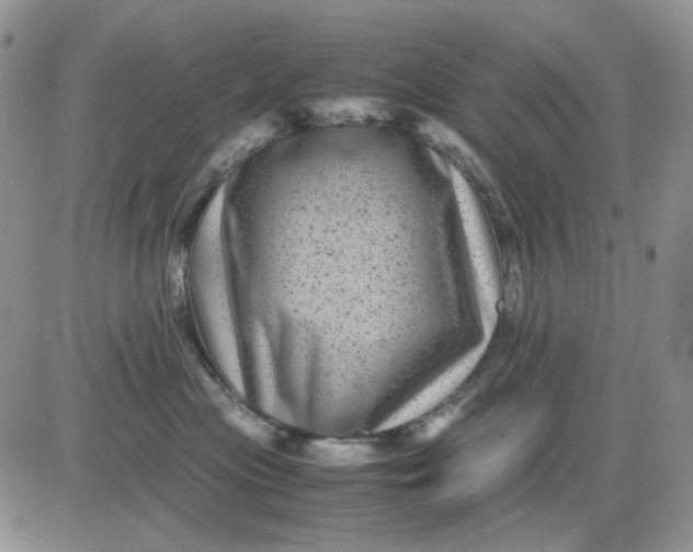 X0000081470477200701262007