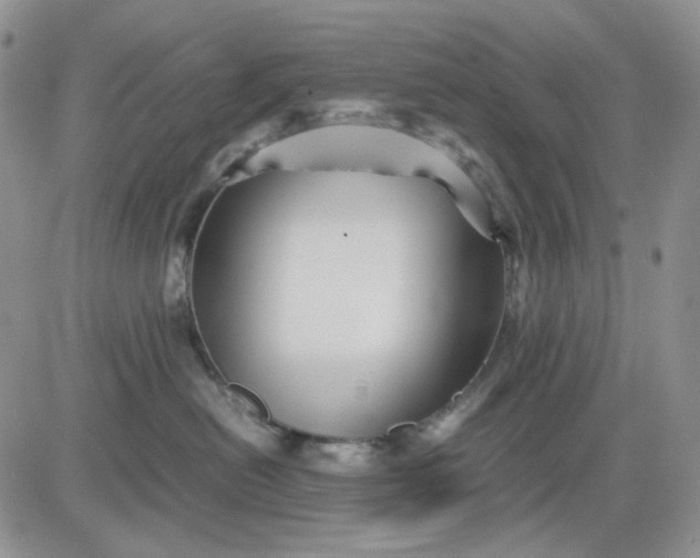 X0000081470478200701262007