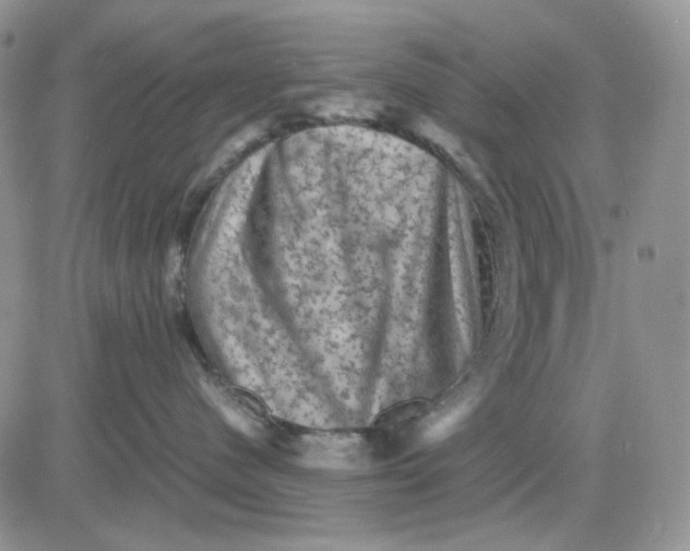 X0000081470480200701262007