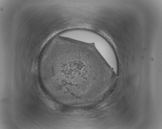 X0000081470483200701262007