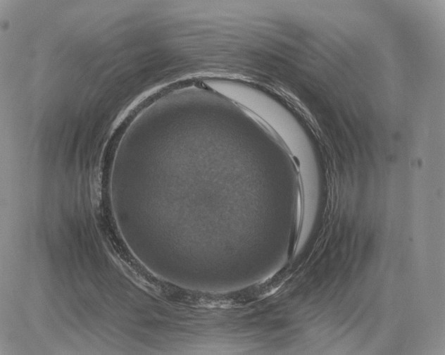 X0000081470484200701262007