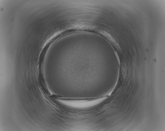 X0000081470488200701262007