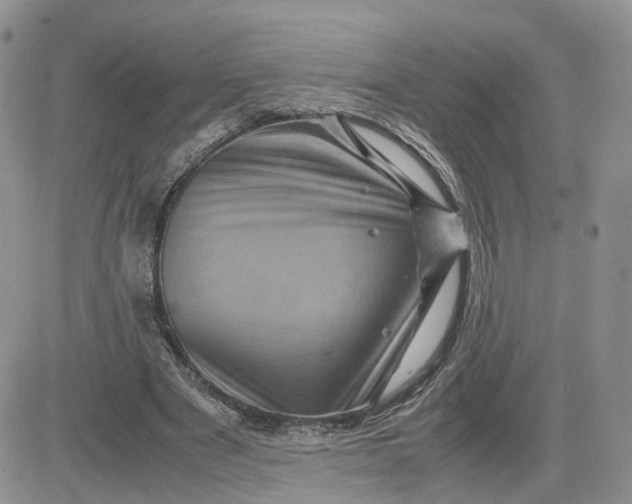 X0000081470489200701262007