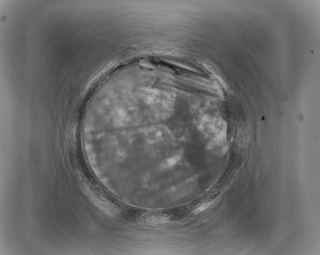 X0000081470491200701262007