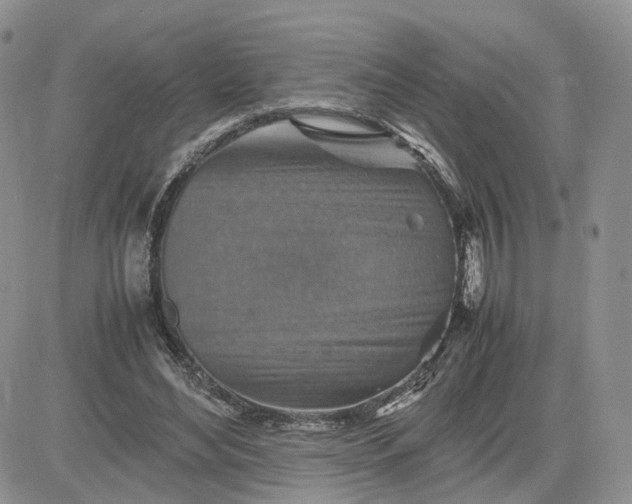 X0000081470492200701262007