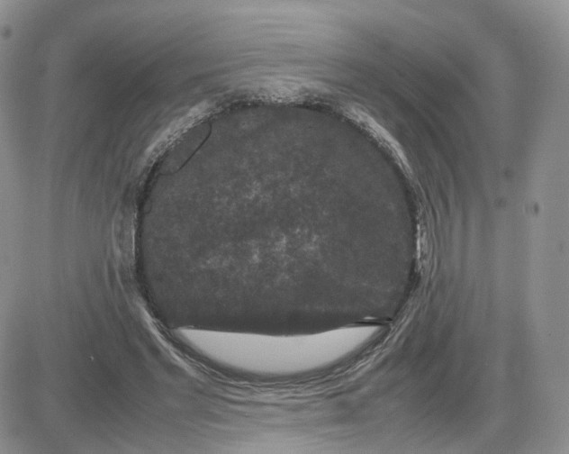 X0000081470493200701262006