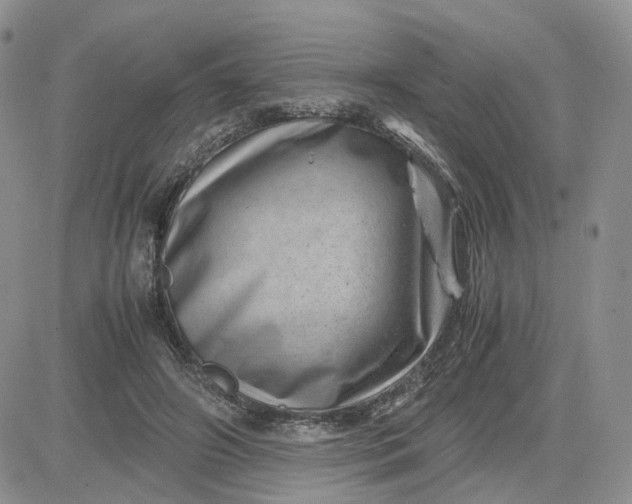 X0000081470498200701262006