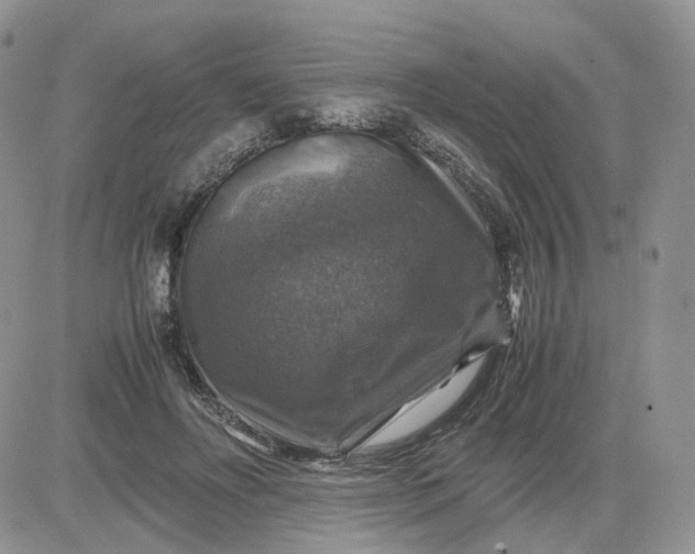 X0000081470502200701262006