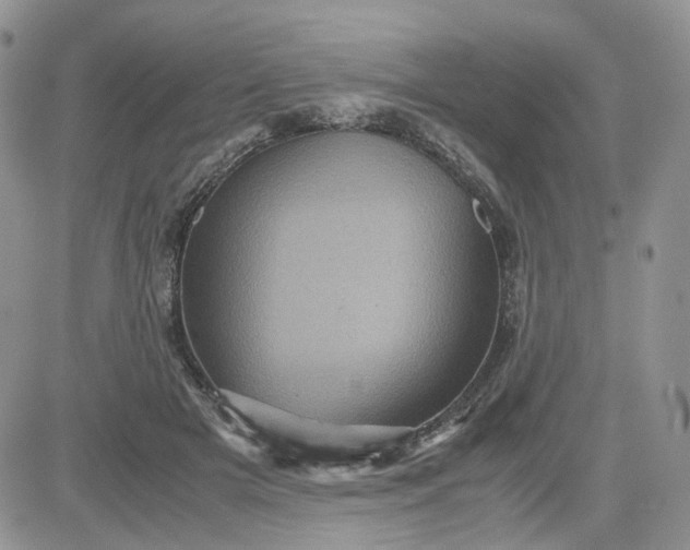 X0000081470505200701262006