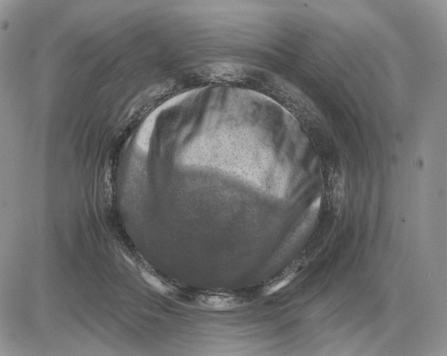 X0000081470506200701262006