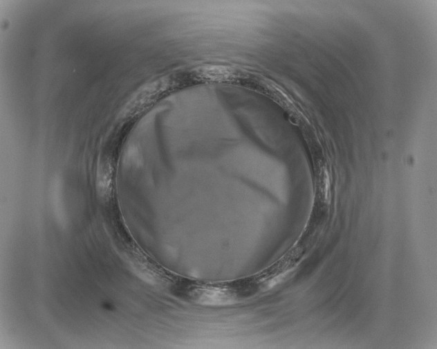 X0000081470507200701262006