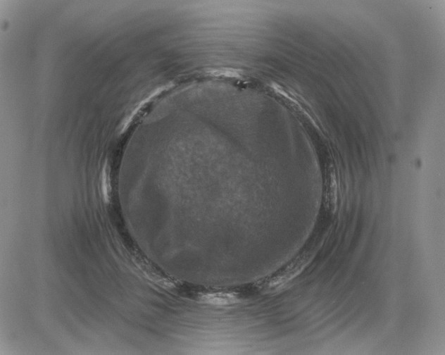 X0000081470508200701262006