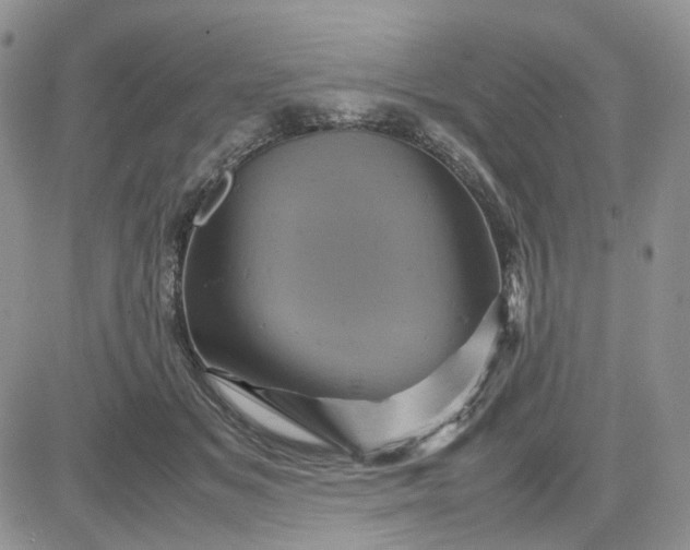 X0000081470509200701262006