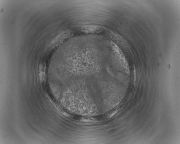 X0000081470510200701262006