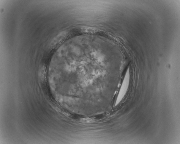 X0000081470511200701262006