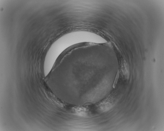 X0000081470512200701262006