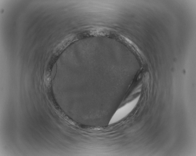 X0000081470513200701262006