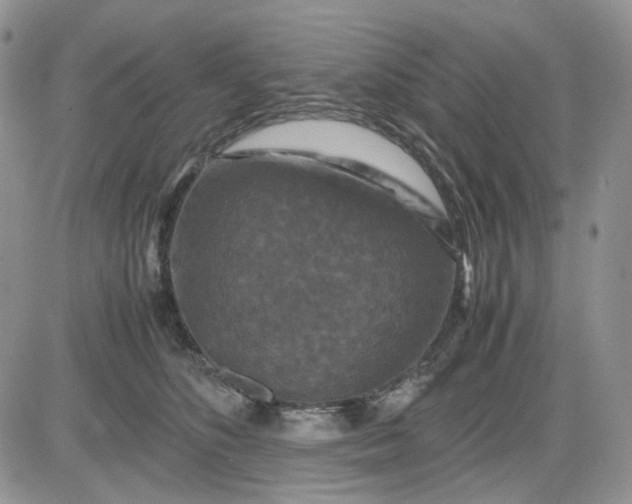 X0000081470516200701262006