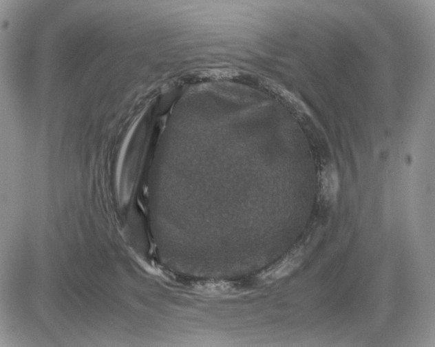 X0000081470517200701262006