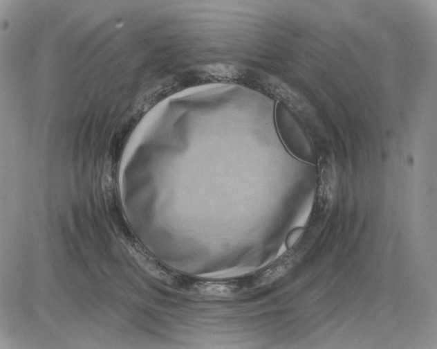 X0000081470518200701262006