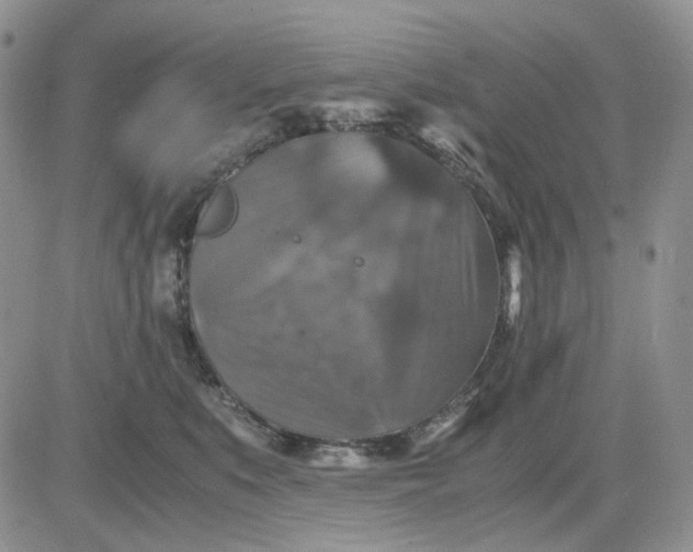 X0000081470519200701262006