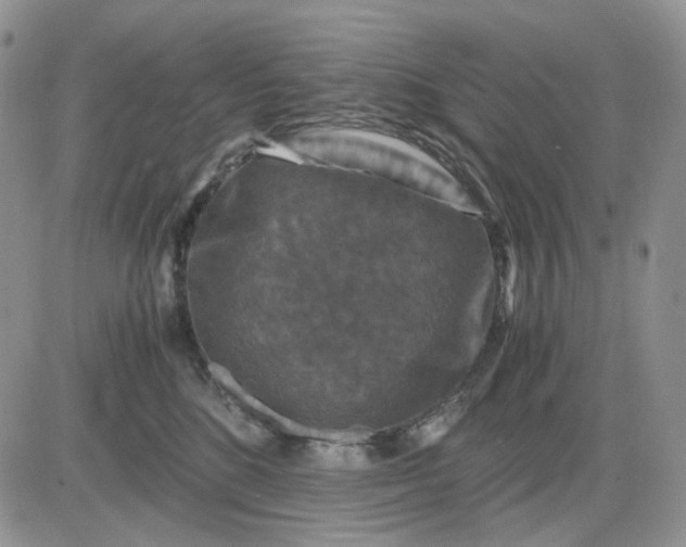 X0000081470520200701262006