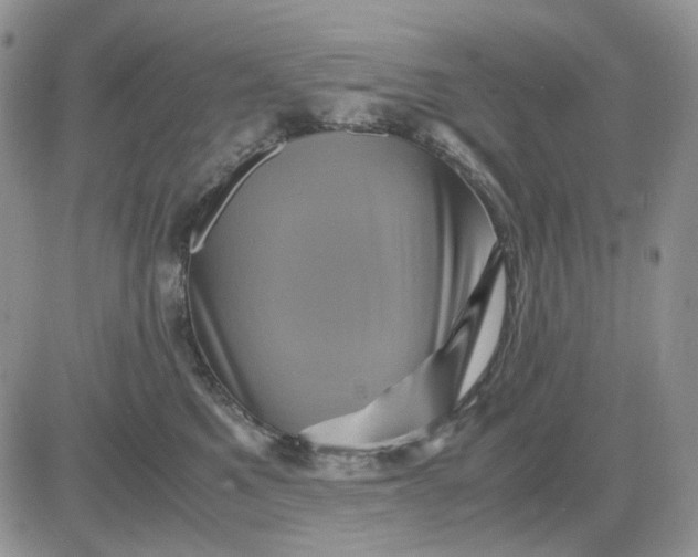 X0000081470521200701262006