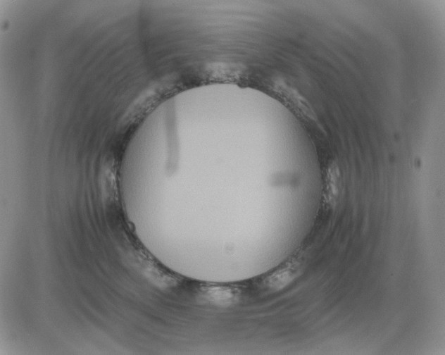 X0000081470522200701262006