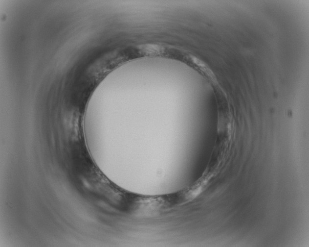 X0000081470525200701262006