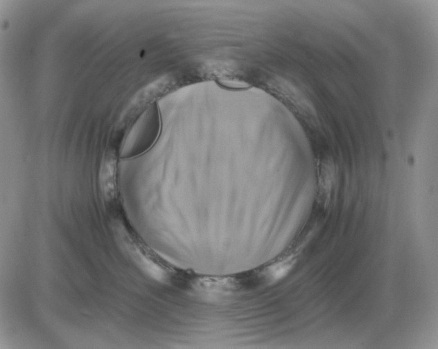 X0000081470526200701262006