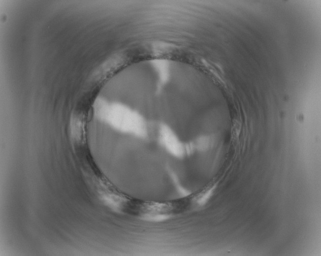 X0000081470527200701262006