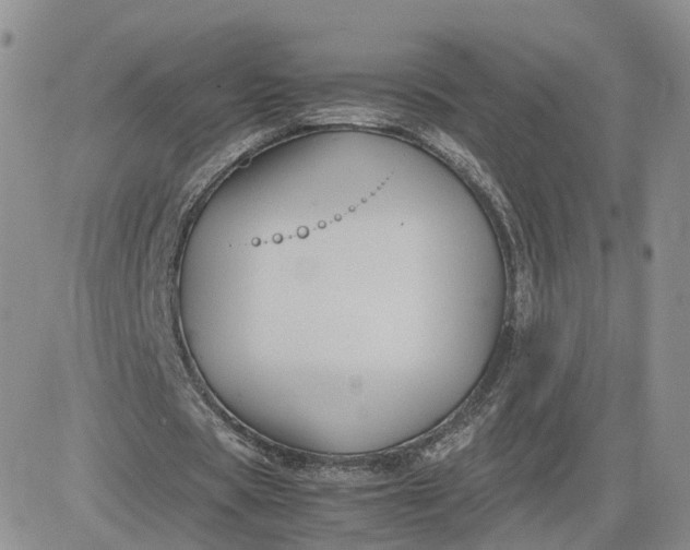 X0000081470529200701262005