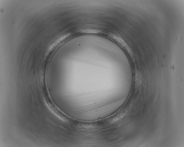 X0000081470533200701262005