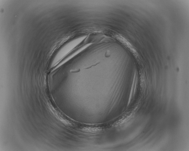 X0000081470537200701262005