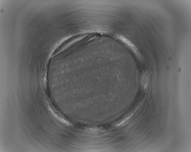 X0000081470540200701262005