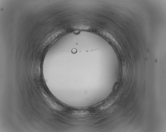 X0000081470541200701262005