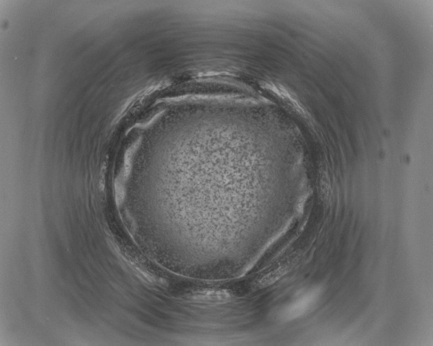 X0000081470543200701262005