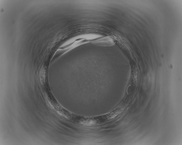 X0000081470551200701262005